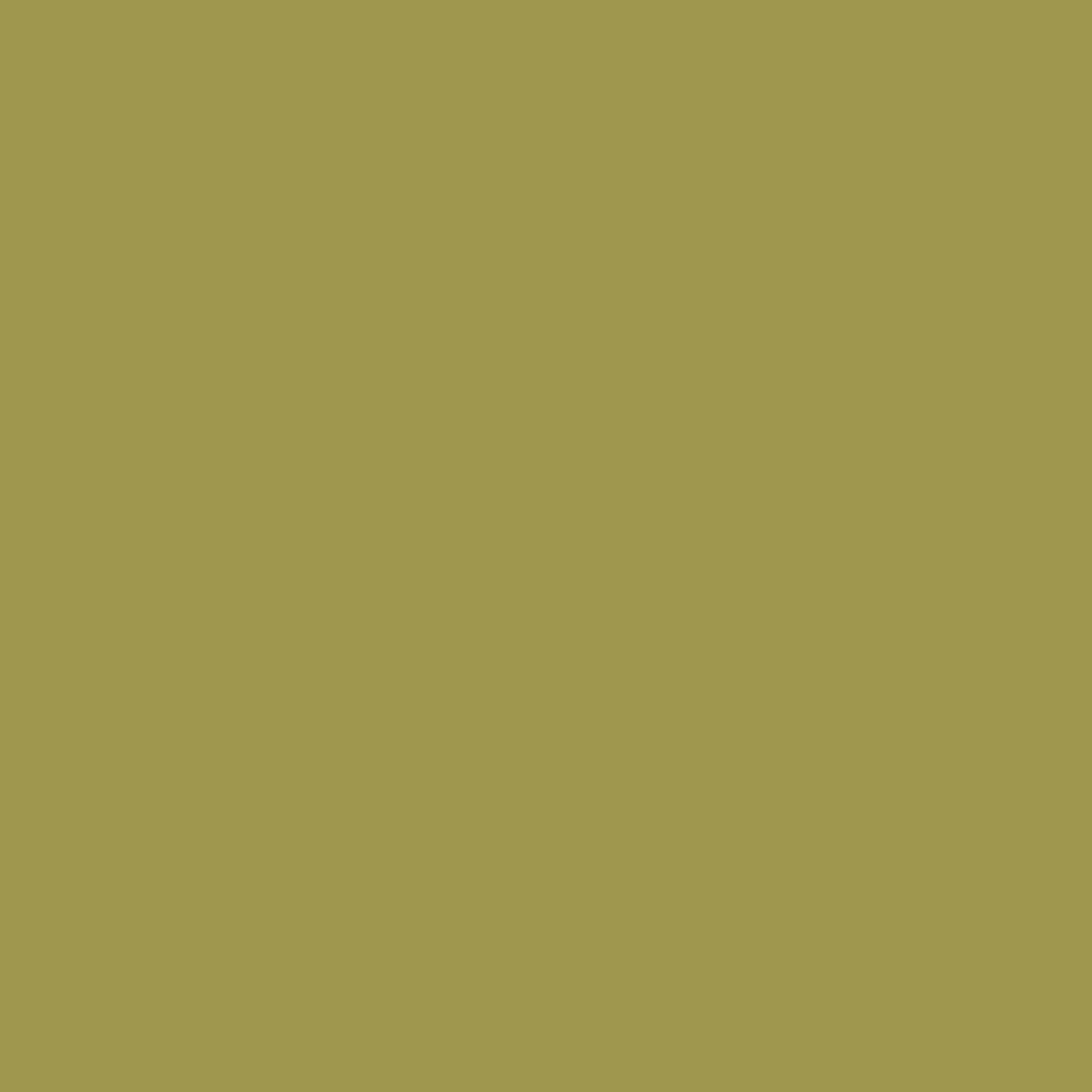 Краска Derufa Песочный DRF 1371
