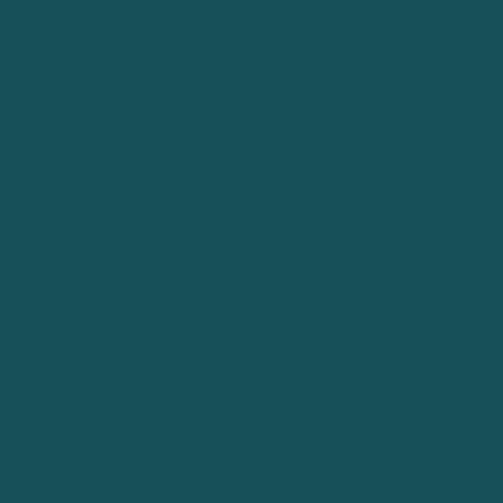 Краска Derufa Бирюзовый DRF 1449