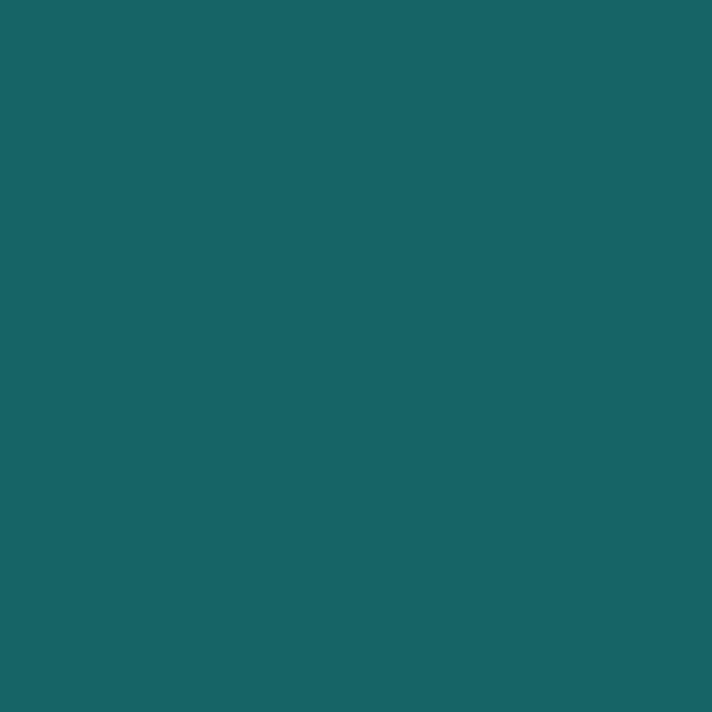 Краска Derufa Бирюзовый DRF 1448